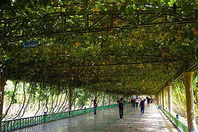 回合制策略游戏《毁灭之王》上线Steam 2022年Q4推出